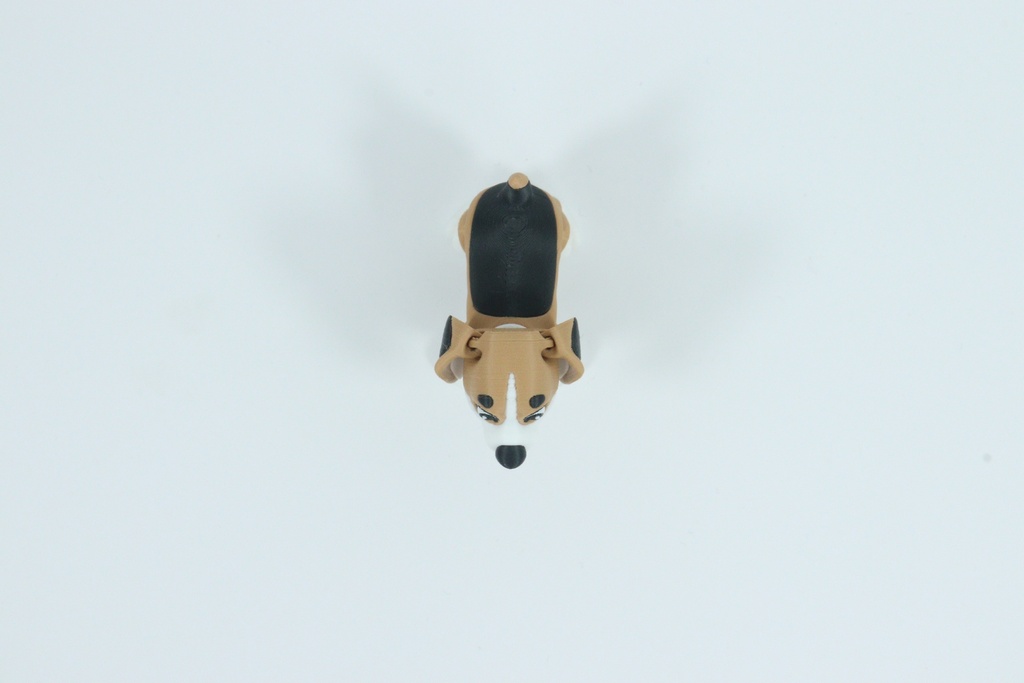 Beagle
