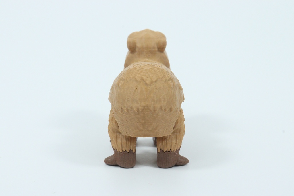 Capybara