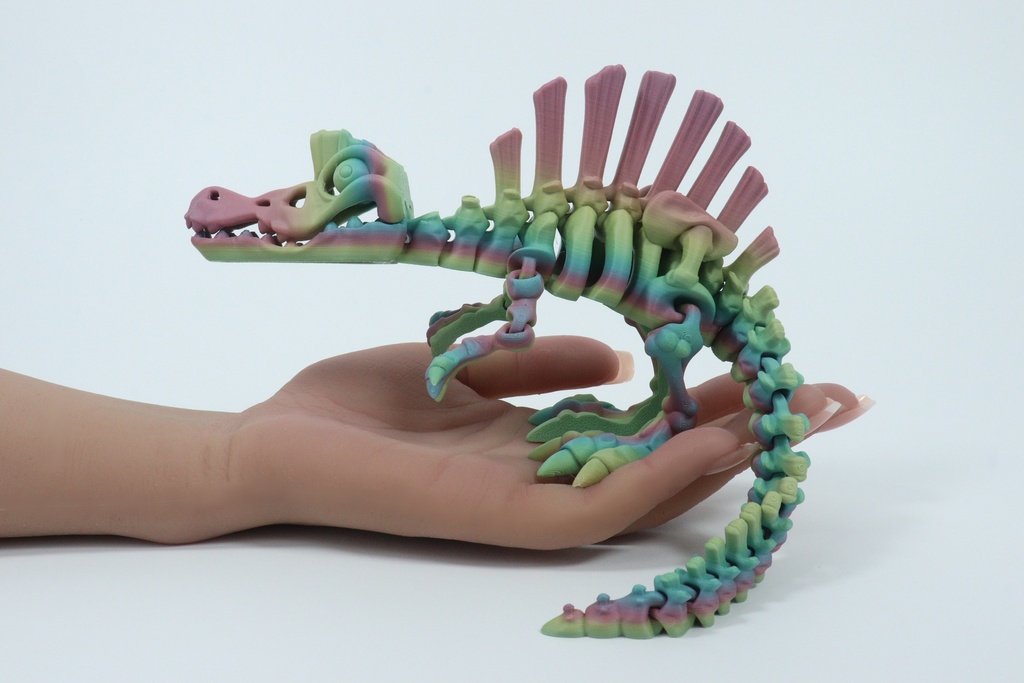 Spinosaurus Skeleton