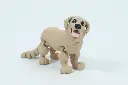 Paw Print Pups - Golden Retriever