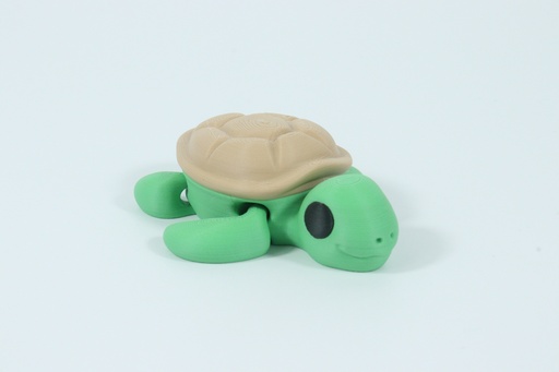 Fidget Friends - Turtle