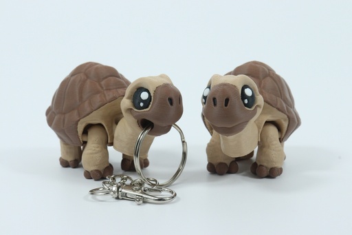 Fidget Friends 
- Tortoise