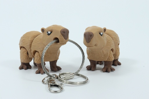 Fidget Friends- Capybara