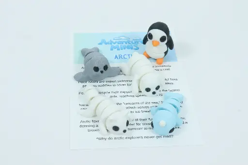 Adventure Minis - Arctic Set