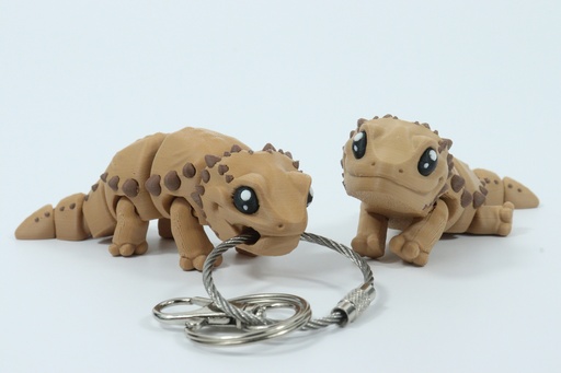 Fidget Friends - Bearded Dragon*